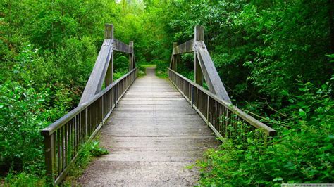 Forest Bridge Wallpapers Top Free Forest Bridge Backgrounds
