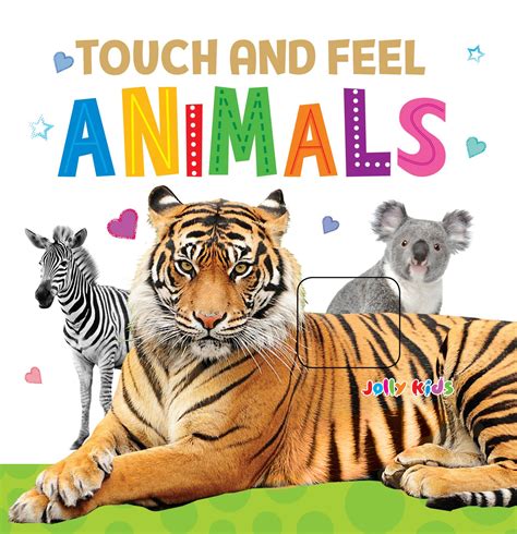 Jolly Kids Touch And Feel Animals Shethbooks Official Buy Page Of