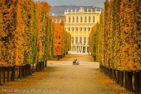 Vienna Highlights A Fall Garden Tour At Schonbrunn