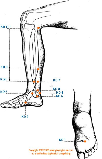 Yin Yang House Acupuncture Points On The Kidney Meridian Acupuncture