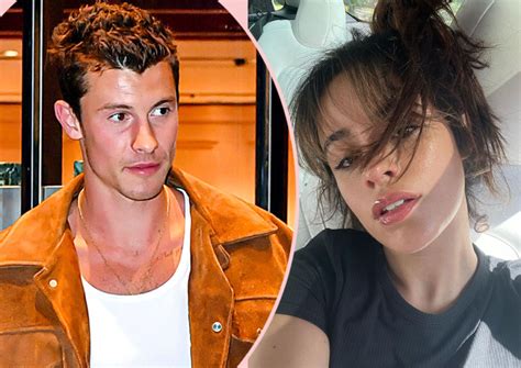 Shawn Mendes And Camila Cabello Have Practically Moved In Together As