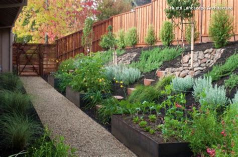 Raised Bed Hillside Kitchen Garden With Vegetables And Herbs Steep
