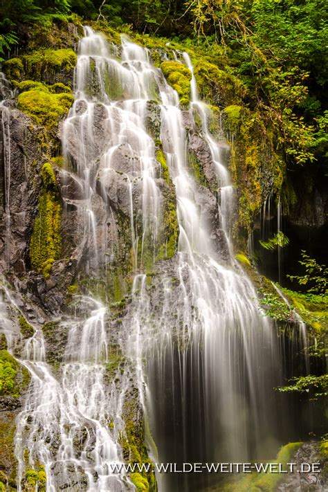 Panther Creek Falls Ford Pinchot National Forest Wilde Weite