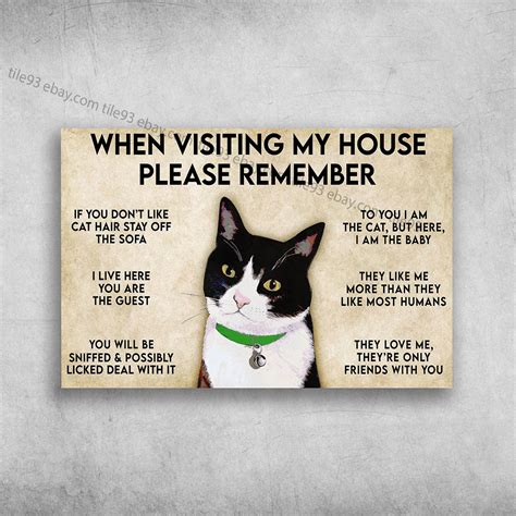 Tuxedo Cat When Visiting My House Please Remember If You Dont Like