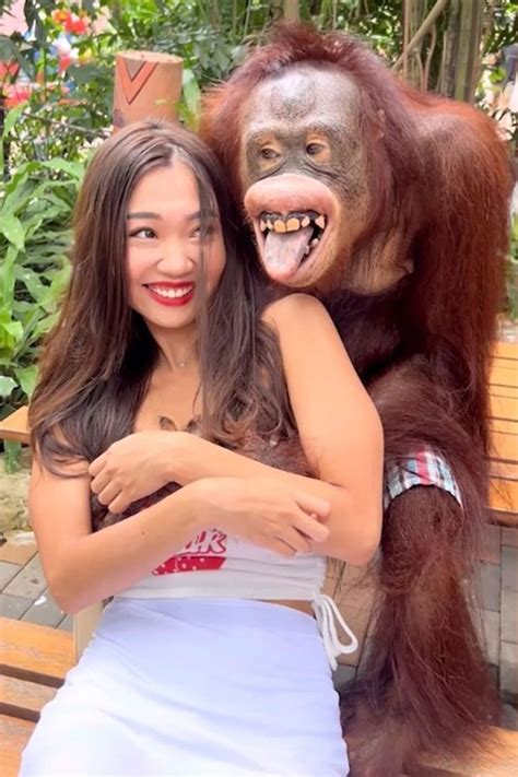 Cheeky Grinning Orangutan Gropes Womans Breasts Before Planting A