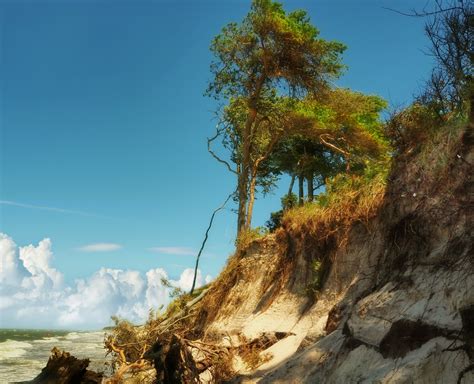 Kostenlose Foto Strand Landschaft Meer Küste Baum Natur Rock