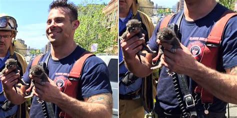 This Super Hot Firemans Adorable Kitten Rescue Mission Will Give You