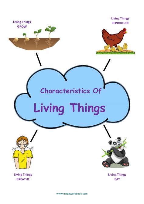 Living And Non Living Things Worksheets Characteristics Of Living