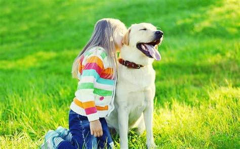 10 Tips To Strengthen Your Bond With Your Dog