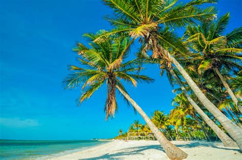 Visit Florida Keys Pure Vacations Visit Key West Travel To