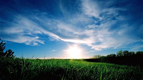 Wallpaper Sunlight Landscape Sunset Nature Grass Sky Field