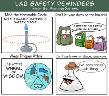 Change in allele frequencies through genetic drift are due to chance along, while changes in allele frequencies through natural selection are the result of specific environmental pressures. Lab Safety Handout by The Amoeba Sisters- Free Student Handout | TpT