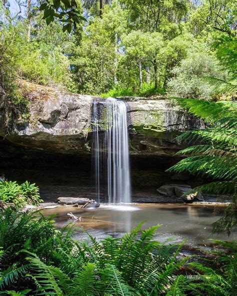 Lorne Kalimna Falls Do Go Chasing Waterfalls In These Days Of