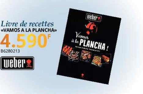 Promo Livre De Recettes Weber Chez Bricorama ICatalogue Fr