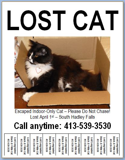 If you can't figure out how to format your poster, you can use a template to make it. Flyer with Tear-off Tabs - Lost Pet Research and Recovery