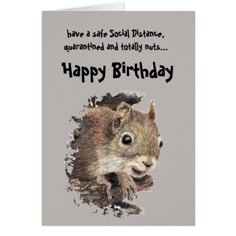 Funny Squirrel Birthday Cards Zazzle