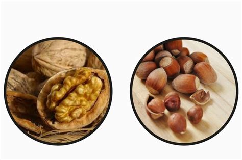 Cliquez sur la photo ou le titre d'une recette de zeste pour la lire sur le blog de son auteur. Un zeste de Poitou-Charentes, d'Aquitaine et du Limousin !: Les huiles vierges de noix et ...
