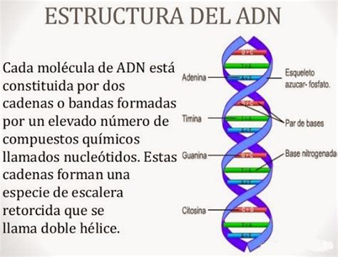 Solo Ciencia Página 21 De 26 Que Es Ciencia O Que Es La Ciencia Significado Origen Y Que