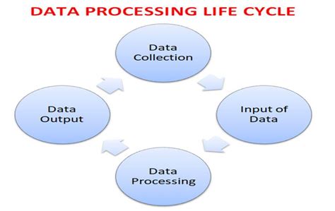 Stages And Types Of The Data Processing Cycle Know Computing