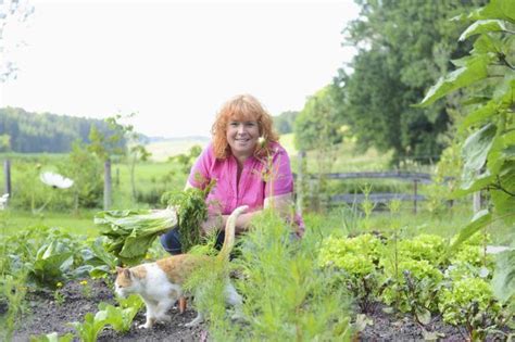 They needed large vegetable gardens to provide plenty of food during the growing season and to preserve do you know how to can, freeze, or otherwise preserve excess produce? Learn How to Add Manure to Your Home Vegetable Garden ...