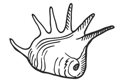 Seashell Icon Hand Drawn Mollusk Shell Graphic By Onyxproj · Creative Fabrica