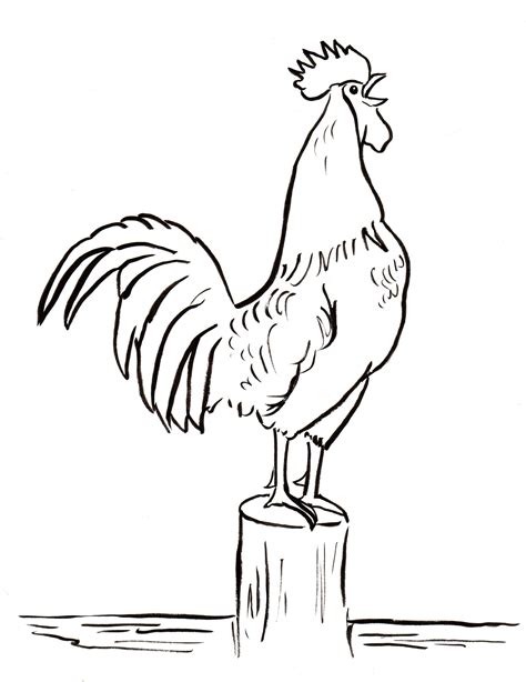 Rooster Drawing Easy Cute Rooster Drawing Free Download On