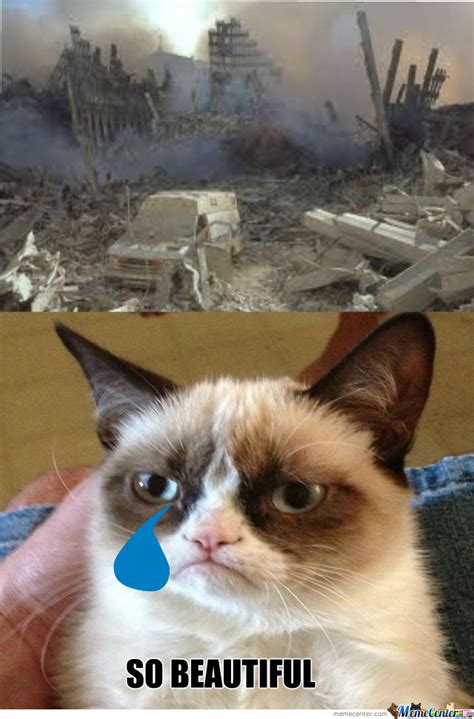 Mean Cat :p by stanton - Meme Center