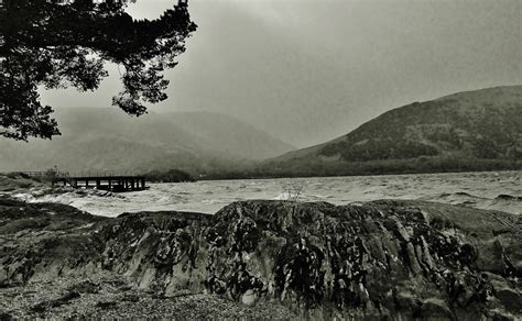 Wallpaper Nature Black And White Sky Water Highland Tree