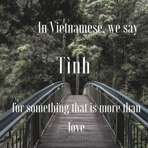 18 words to make you fall in love with the vietnamese language vietnamese language vietnamese