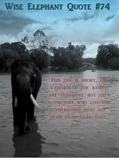 Elephant Friendship Quotes Quotesgram