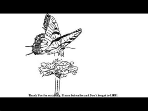 Learn to draw simple and easy butterfly and flower scenery drawing and painting step by step things used 1. How to Draw Beautiful Butterfly and flower | YZArts ...
