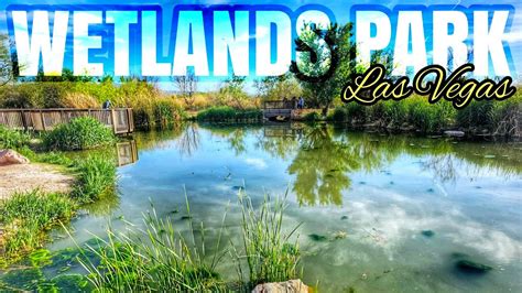 4k Wetlands Park Las Vegas 75°f April 2023 Youtube