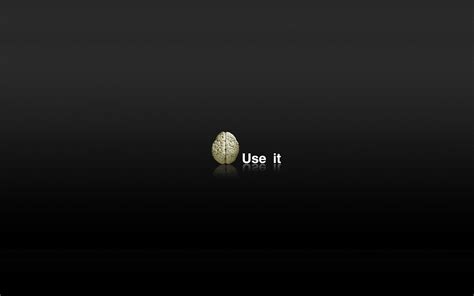 Brain scans show activity coursing through your entire brain all the time, even at rest and during sleep. #PZS31: Brain Wallpapers in Best Resolutions, 100% Quality HD