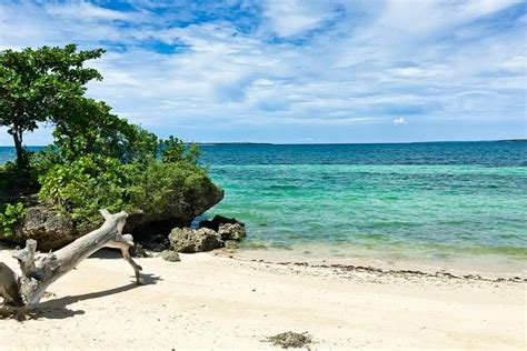 15 Amazing Beaches In Cebu Philippines Updated 2021 Trip101