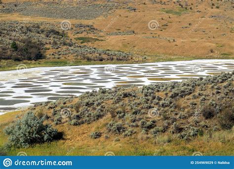 Spotted Lake Osoyoos Similkameen Valley Stock Image Image Of British