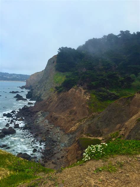 15 Things Nobody Tells You About San Francisco Is This Seat Taken