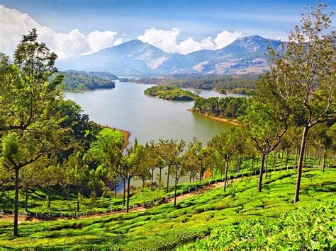 There are four seasons in a year. Best time to visit Kerala is from September to March ...