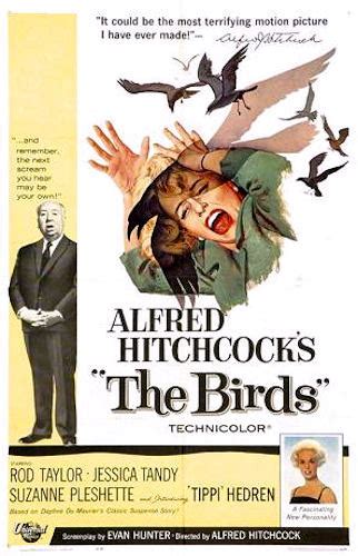 book junkie alfred hitchcock s the birds released 1963