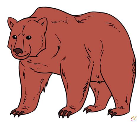 How To Draw A Bear Archives How To Draw