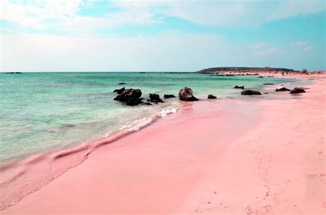 The Unique Pink Sands Beach In Harbour Island The Bahamas