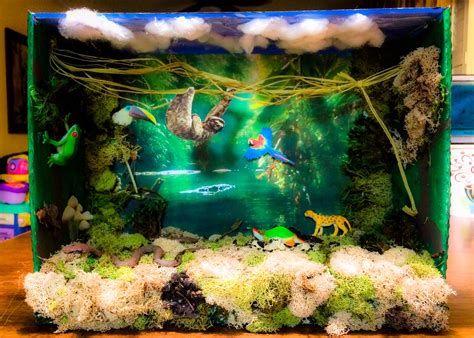 A habit (or wont as a humorous and formal term) is a routine of behavior that is repeated regularly and tends to occur subconsciously. Tropical rainforest diorama | Habitats projects, Biomes ...