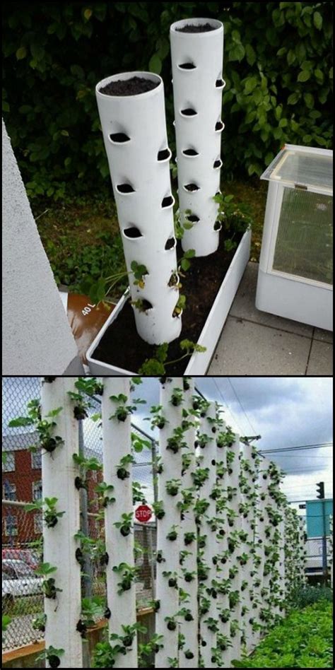 Diy Vertical Garden Pvc Pipe
