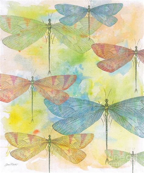 Dragonflies On Watercolor Painting By Jean Plout