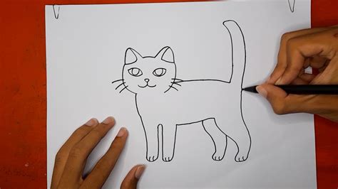 Tutorial Menggambar Kucing Full Badan Termudah Youtube