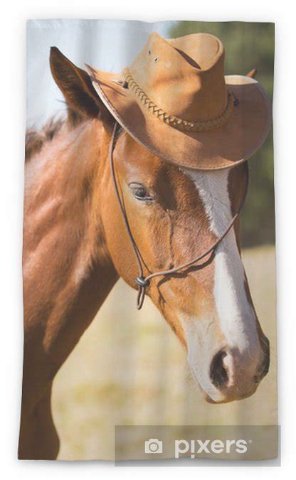 Horse Wearing A Cowboy Hat Sheer Window Curtain Pixers