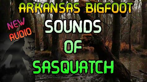 Arkansas Bigfoot Sounds Of Sasquatch Youtube