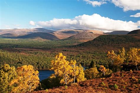Woodlands And Forests Cairngorms National Park Authority