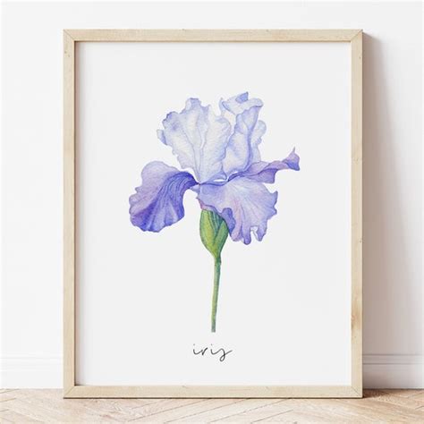 Watercolor Blue Iris Printable Wall Art Illustrated Botanical Etsy