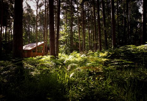 Forest Holidays At Sherwood Pines Forestry England