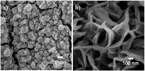 Ijms Free Full Text Shape Anisotropic Iron Oxide Based Magnetic